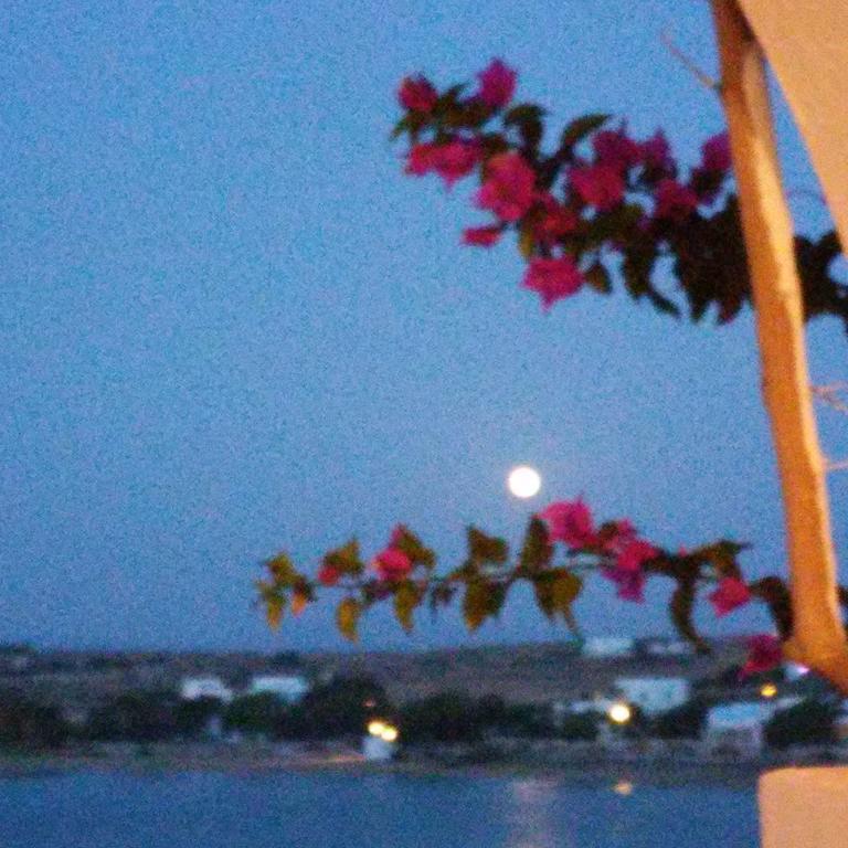 Bocamviglies By The Sea Hotel Naousa  Exterior photo