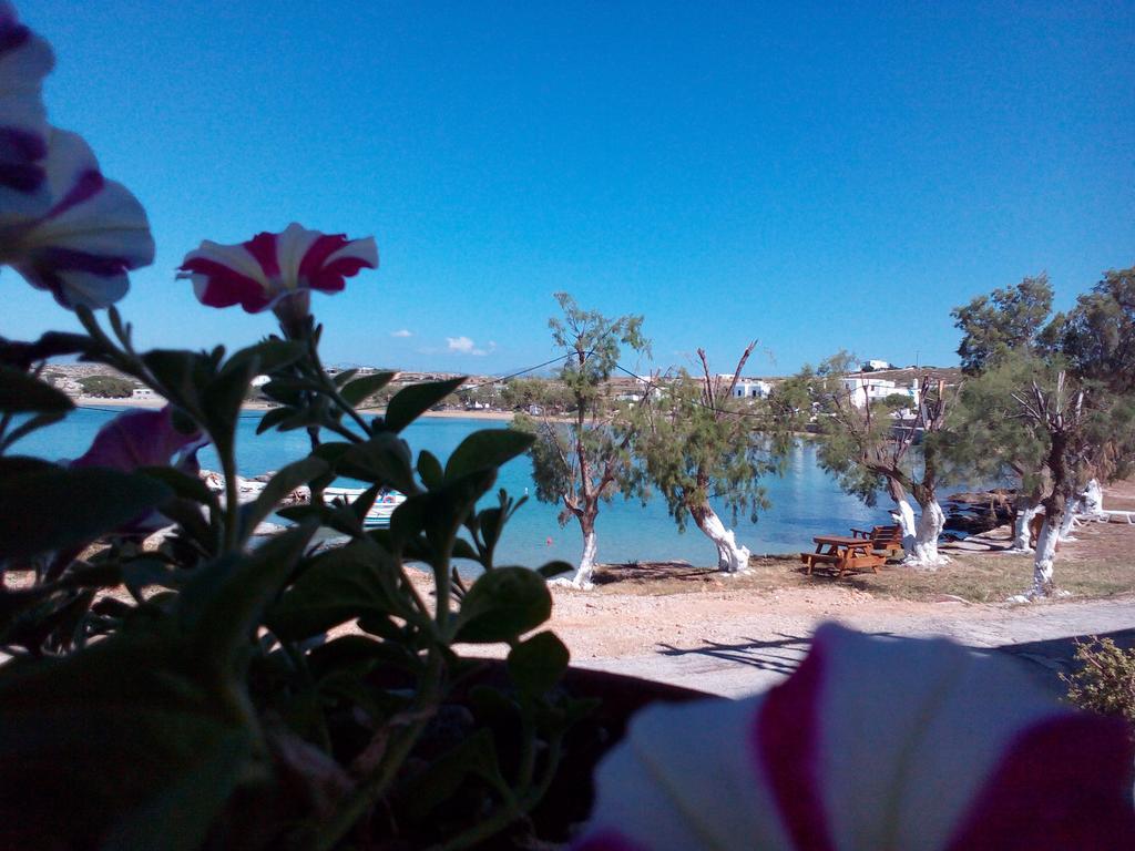 Bocamviglies By The Sea Hotel Naousa  Exterior photo