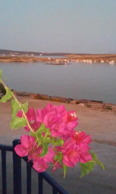 Bocamviglies By The Sea Hotel Naousa  Exterior photo